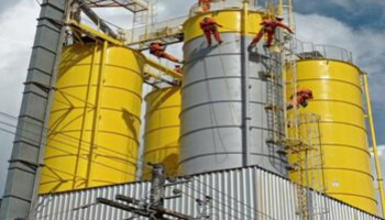 Serviço lorem ipsum